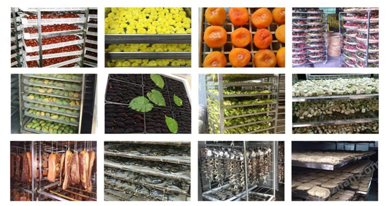 丰林集团成功入选 “2025 年中国上市